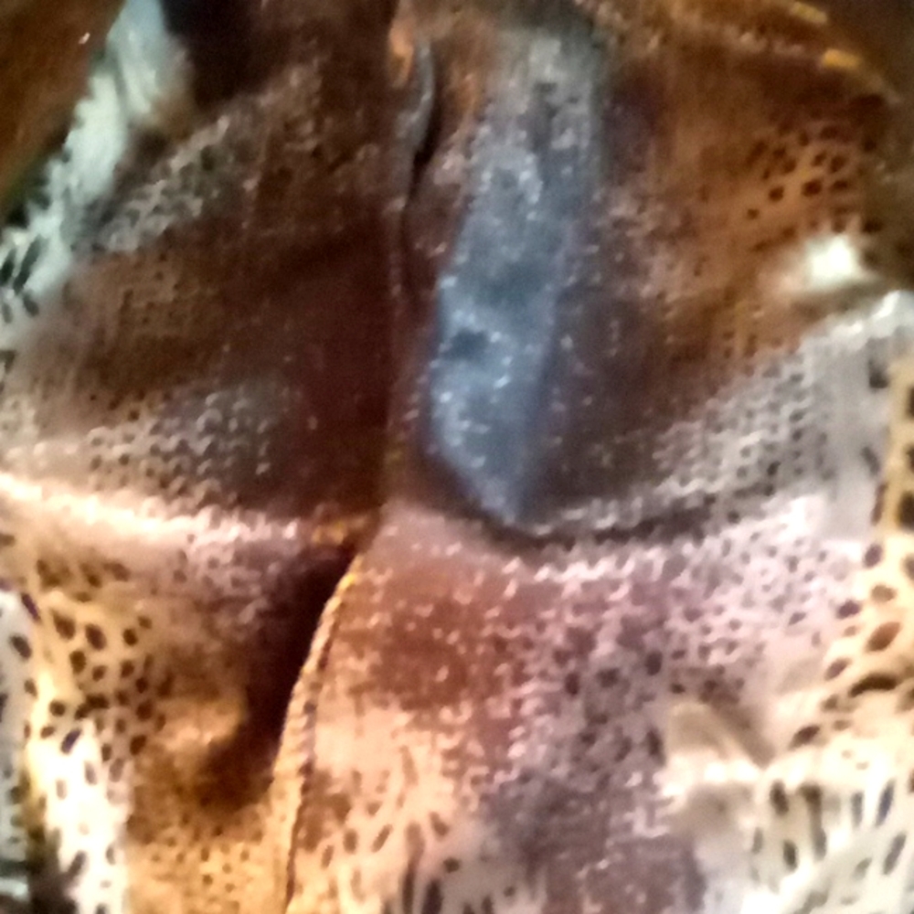 Chico's reptilian print leather jacket